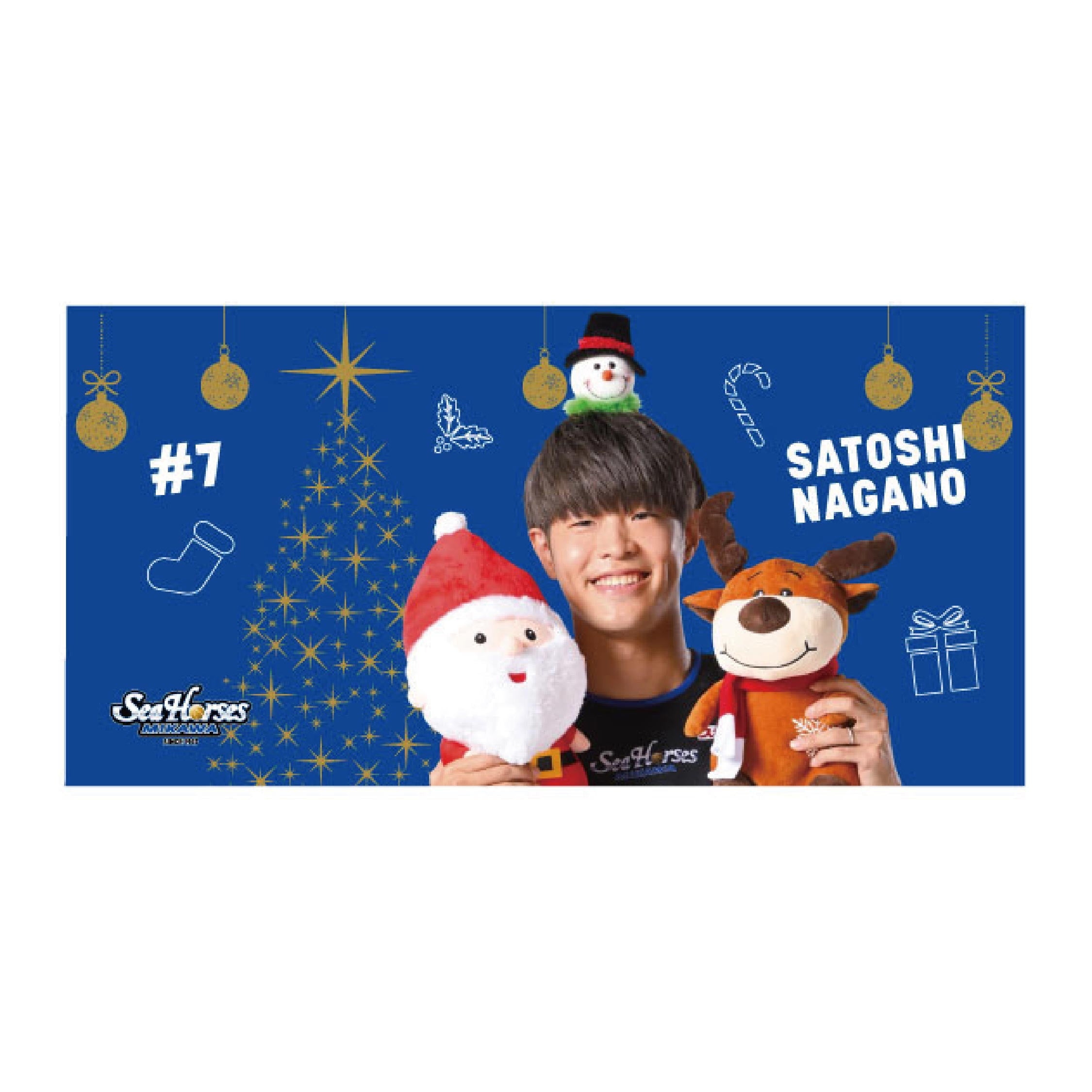 【袋未開封】maymeiクリスマス シークレット winterweirdness シークレット】クリスマスミニハーフタオル全14種 – シーホース三河