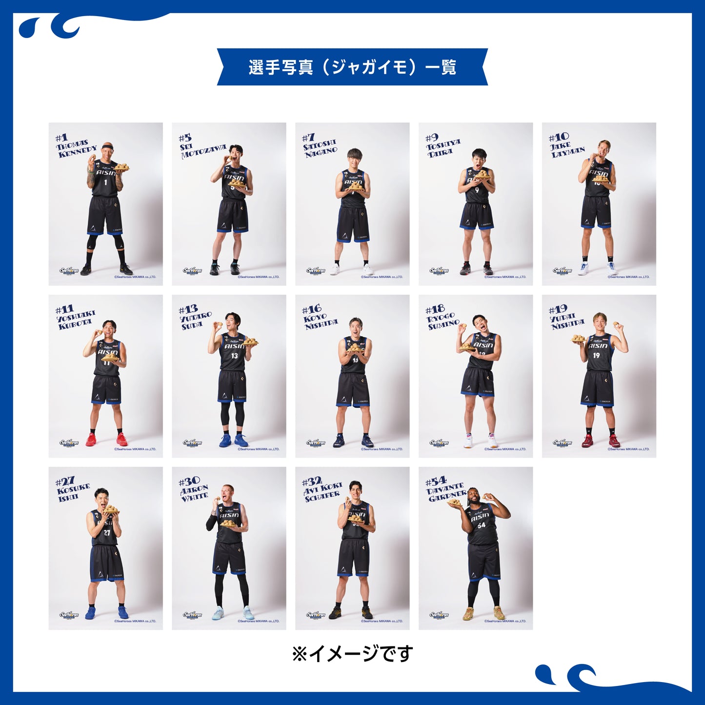 シーホース三河チップス シーソルト味