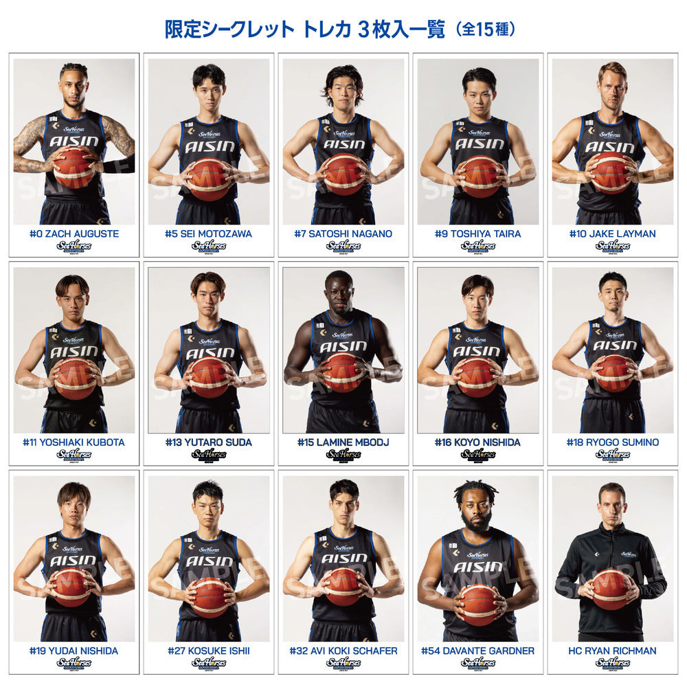 チェキファイル 限定シークレットトレカ3枚入(全15種)