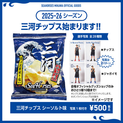 シーホース三河チップス シーソルト味