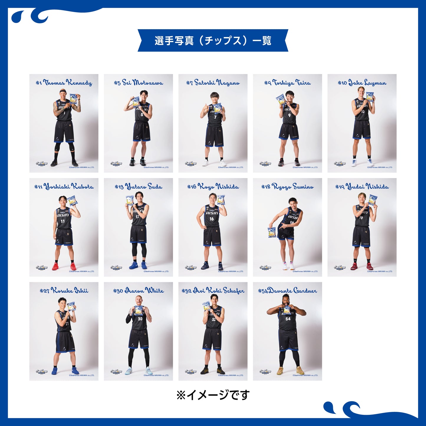シーホース三河チップス シーソルト味