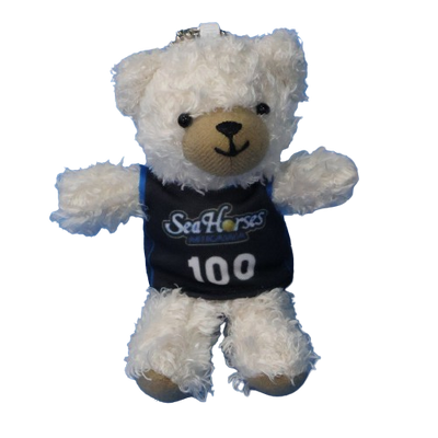 13 須田 侑太郎 – シーホース三河オフィシャルグッズメインオンライン