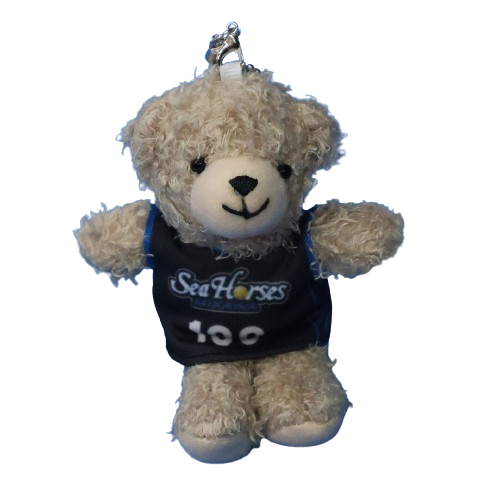 2025-26 ユニベアキーホルダー ブラウン×HOME