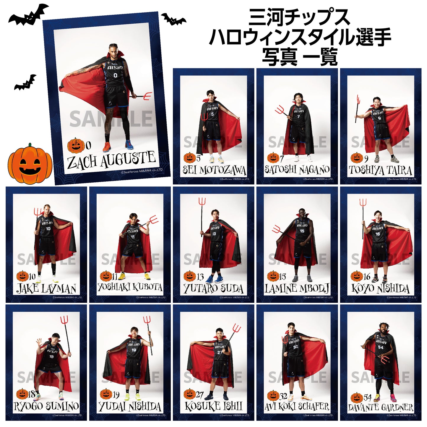 三河チップス シーソルト味（オマケ限定ハロウィン写真付）