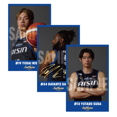 【シークレット】2025-26 プレイヤーズチェキ風トレカ vol.1(レギュラー)全42種