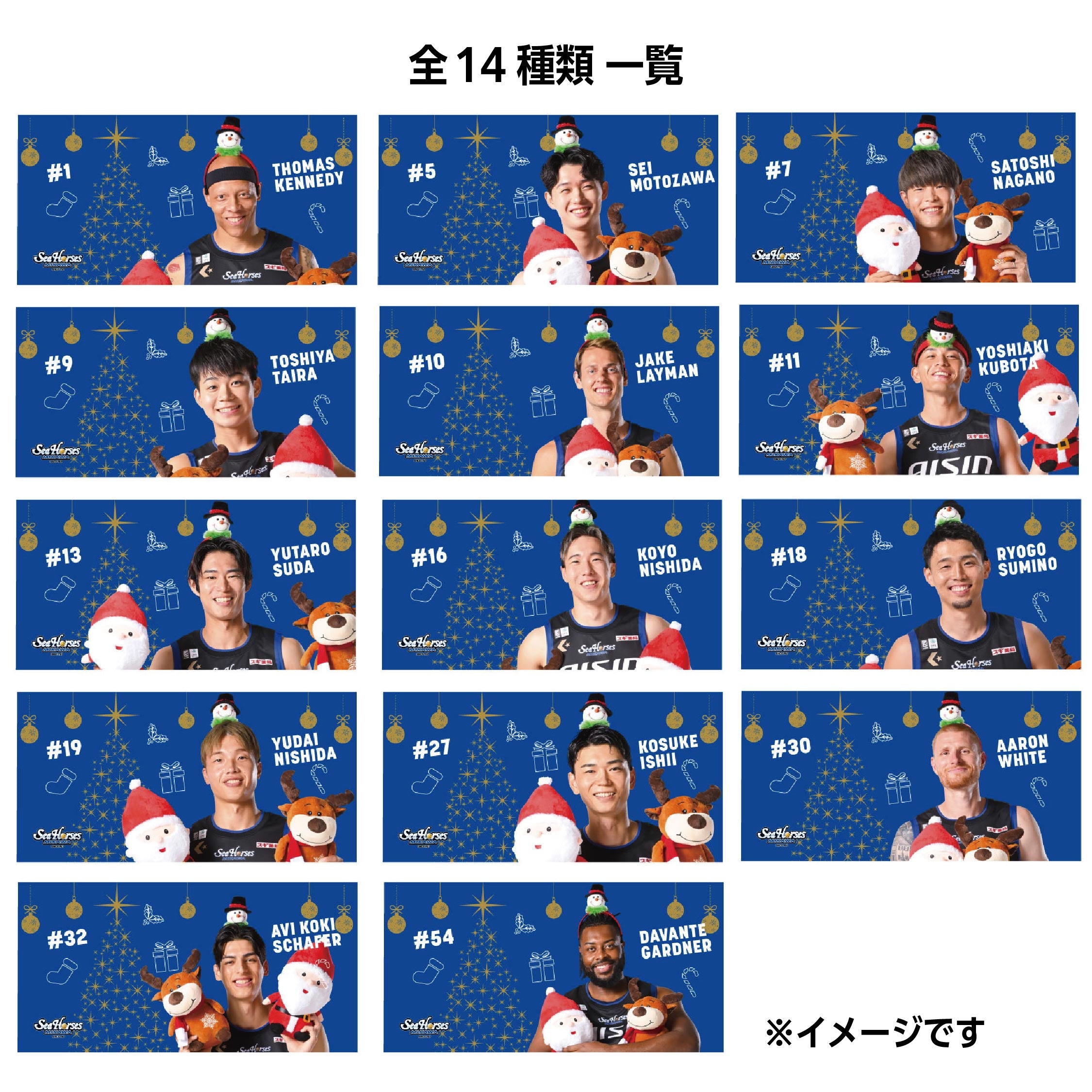 シークレット】クリスマスミニハーフタオル全14種 – シーホース三河
